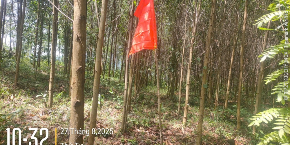 Khoan khảo sát khoáng sản đất làm vật liệu san lấp tại mỏ đất Dốc Mốc 2, xã Ba Tơ, tỉnh Quảng Ngãi