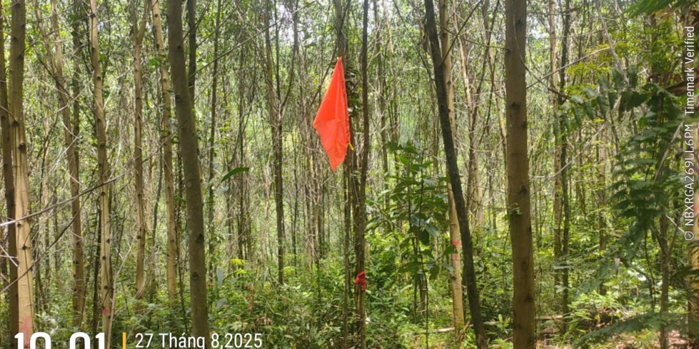 khảo sát địa hình mỏ đất Dốc Mốc 2