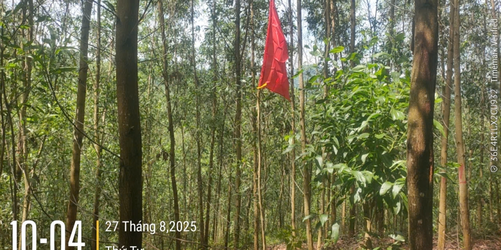 khảo sát địa hình mỏ đất Dốc Mốc 2