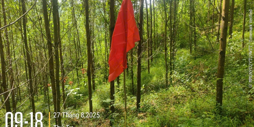 khảo sát địa hình mỏ đất Dốc Mốc 2